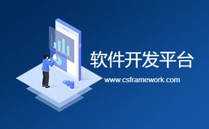 软件+开发平台组合核心关键词